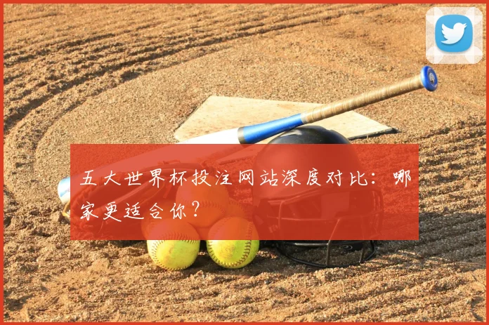 五大世界杯投注网站深度对比：哪家更适合你？