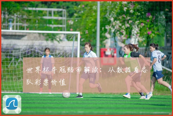 世界杯夺冠赔率解读:从数据看各队彩票价值