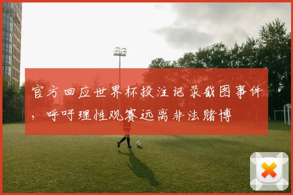 官方回应世界杯投注记录截图事件，呼吁理性观赛远离非法赌博