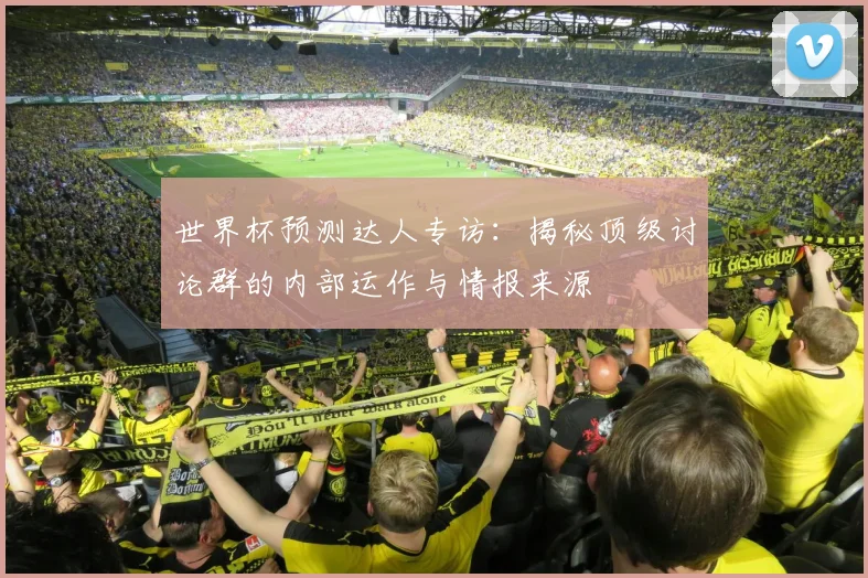 世界杯预测达人专访：揭秘顶级讨论群的内部运作与情报来源