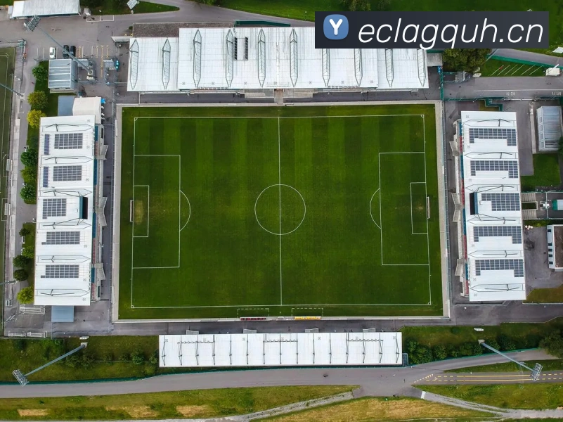 App Interface Preview