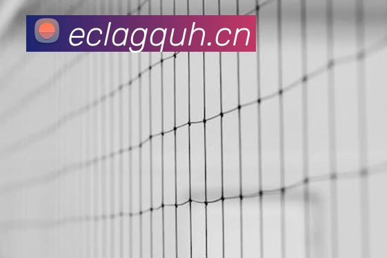 星空体育首页注册APP 封面图